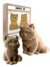 3D-конструктор Два котика