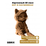 3D-конструктор Кот в наушниках