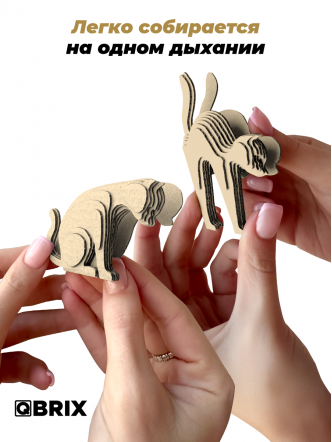 3D-конструктор Город котиков