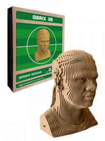 3D-конструктор Эрлинг Холанн