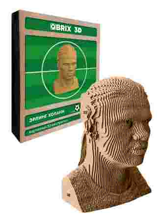 3D-конструктор Эрлинг Холанн