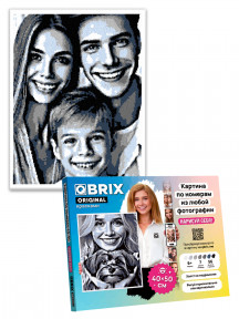 Картина по номерам Original 40×50 см