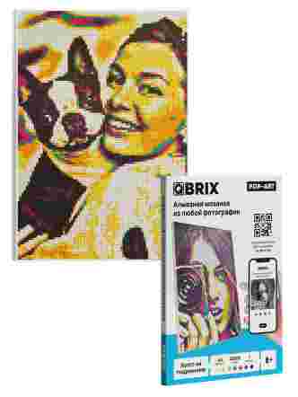 Алмазная фото-мозаика Pop-art А4 на подрамнике