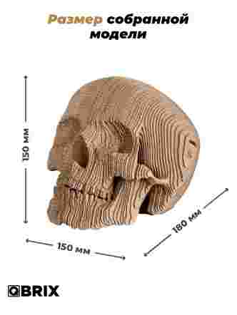 3D-конструктор Череп