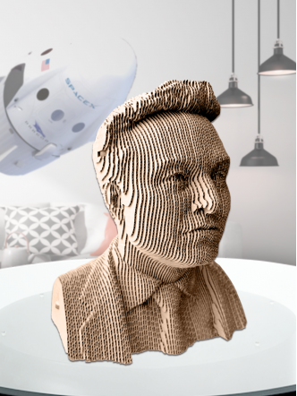 3D-конструктор Илон Маск
