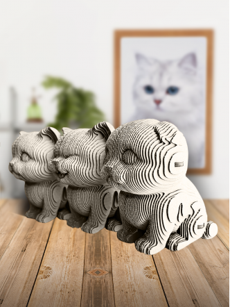 3D-конструктор Три котика + фломограф