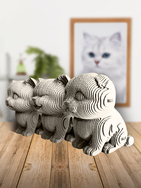 3D-конструктор Три котика + фломограф